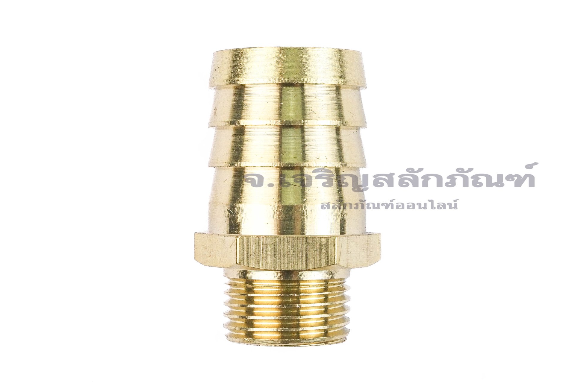 ข้อต่อหางไหลทองเหลือง เกลียวนอกเสียบสาย (เกลียวนอก x หางไหล) ขนาด 1/2" x 25 mm