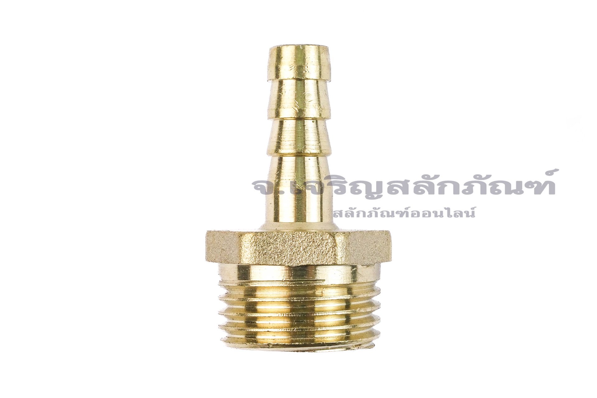 ข้อต่อหางไหลทองเหลือง เกลียวนอกเสียบสาย (เกลียวนอก x หางไหล) ขนาด 1/2" x 8 mm