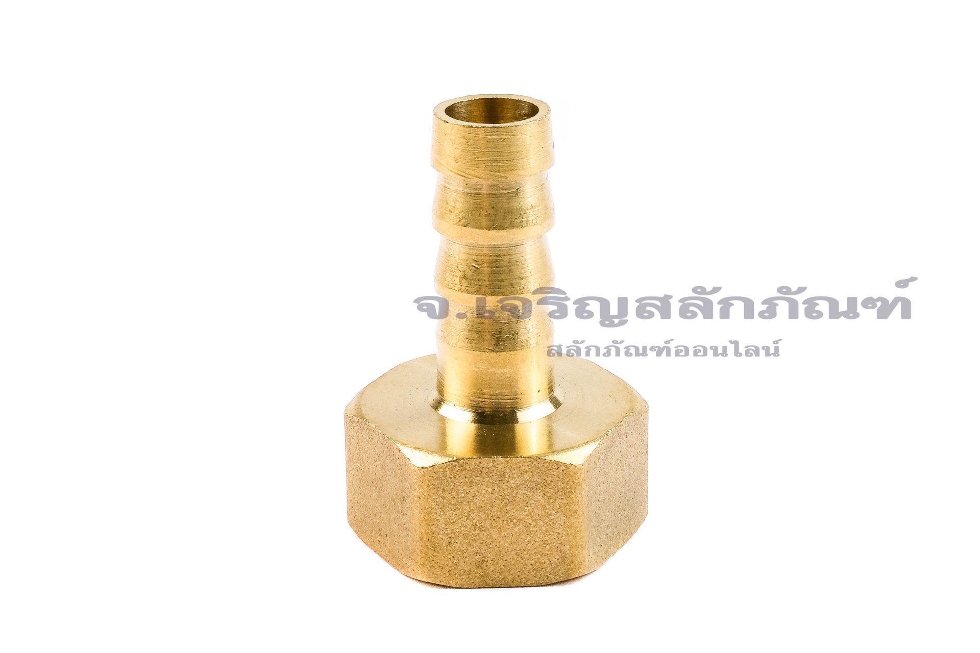 ข้อต่อหางไหลทองเหลือง เกลียวในเสียบสาย (เกลียวใน x หางไหล) ขนาด 1/2" x 10 mm