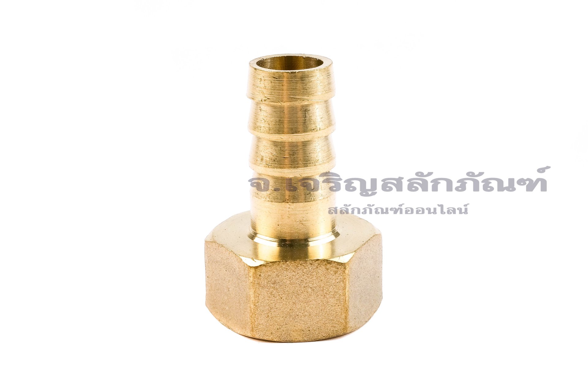 ข้อต่อหางไหลทองเหลือง เกลียวในเสียบสาย (เกลียวใน x หางไหล) ขนาด 1/2" x 12 mm