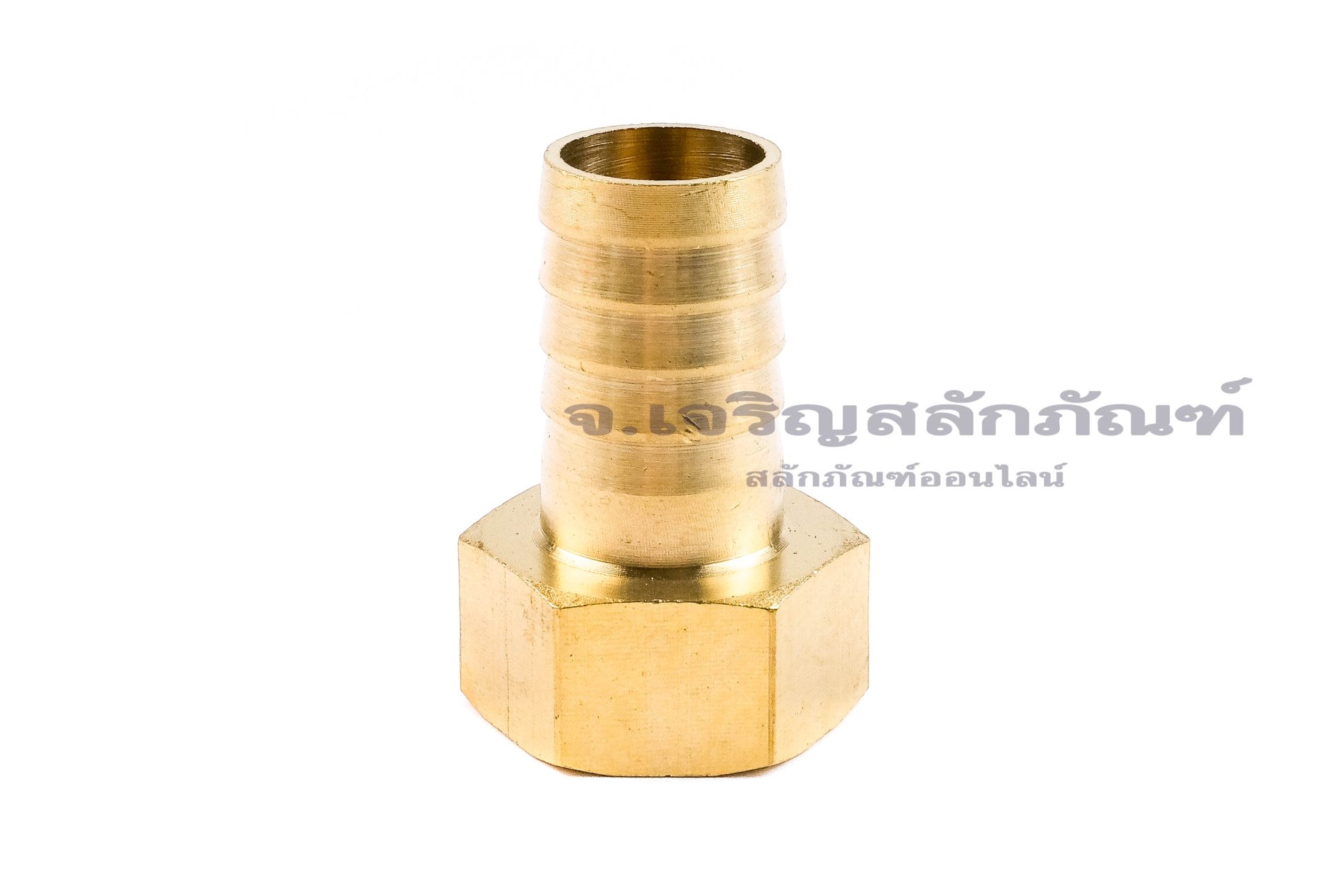 ข้อต่อหางไหลทองเหลือง เกลียวในเสียบสาย (เกลียวใน x หางไหล) ขนาด 1/2" x 16 mm