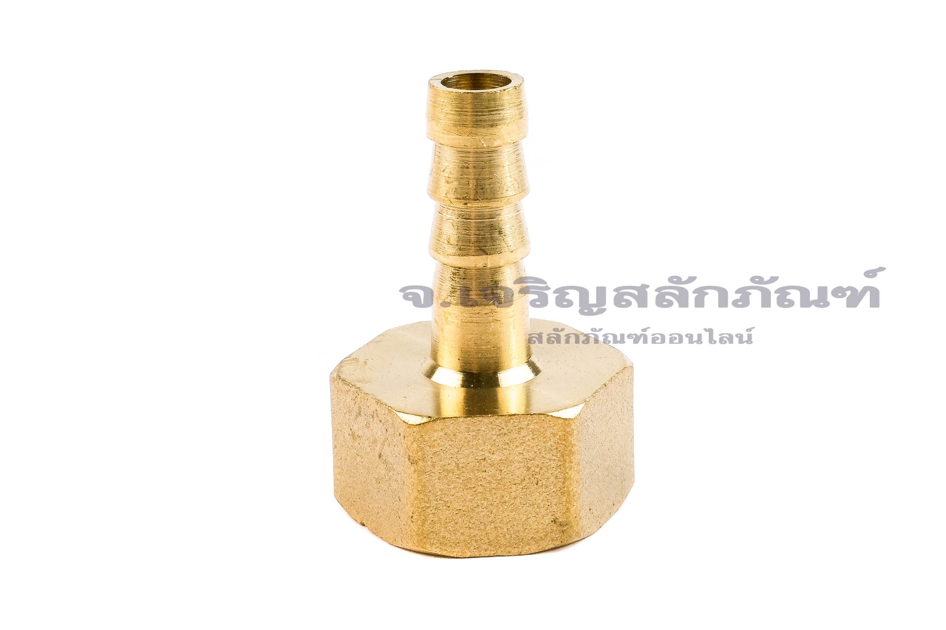 ข้อต่อหางไหลทองเหลือง เกลียวในเสียบสาย (เกลียวใน x หางไหล) ขนาด 1/2" x 8 mm