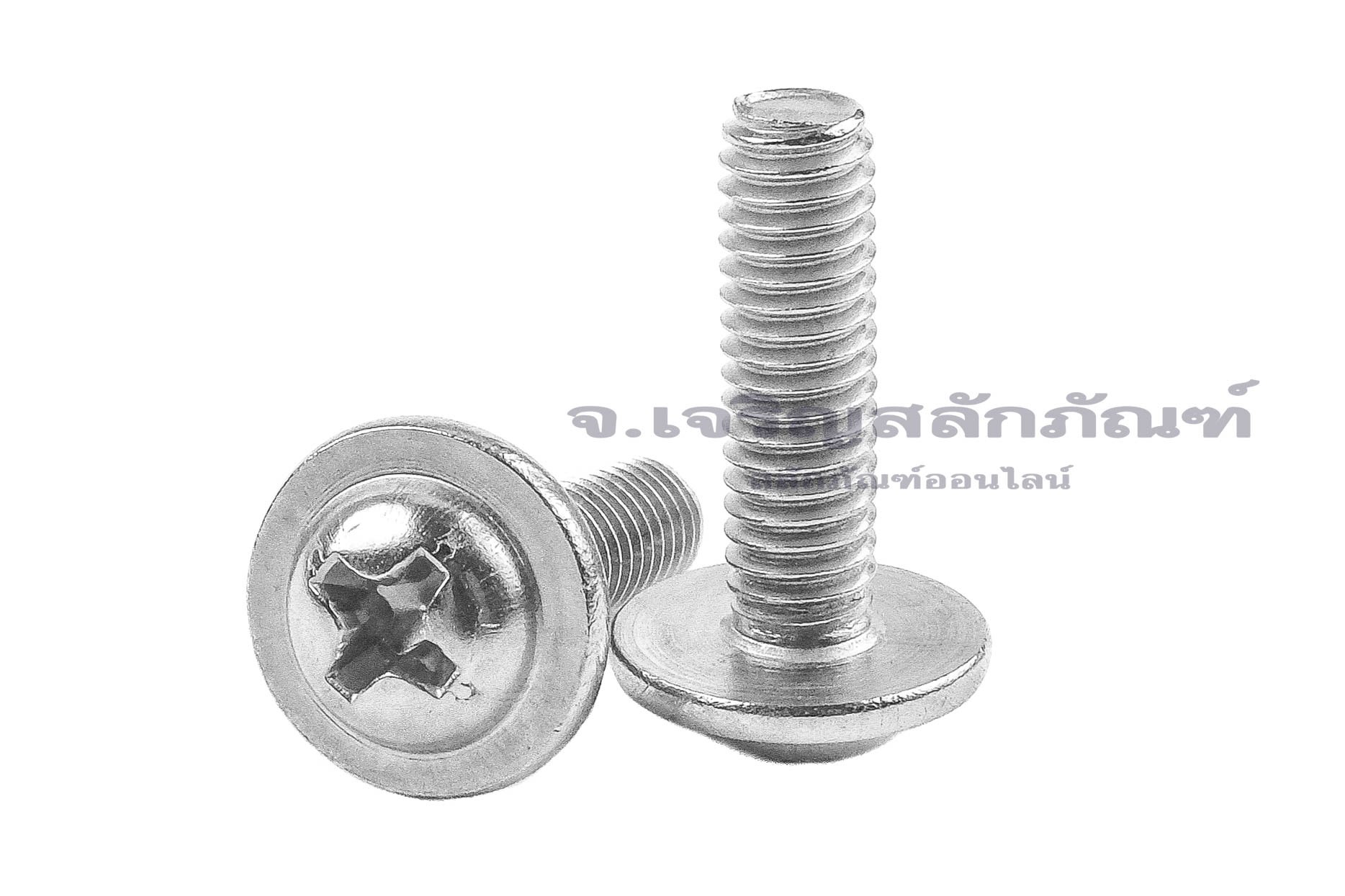 น็อตหัวกลมแฉกแบบติดแหวน สแตนเลส (Phillip Round Head Screw with Flange) ขนาด M4x14 เกลียวตลอด