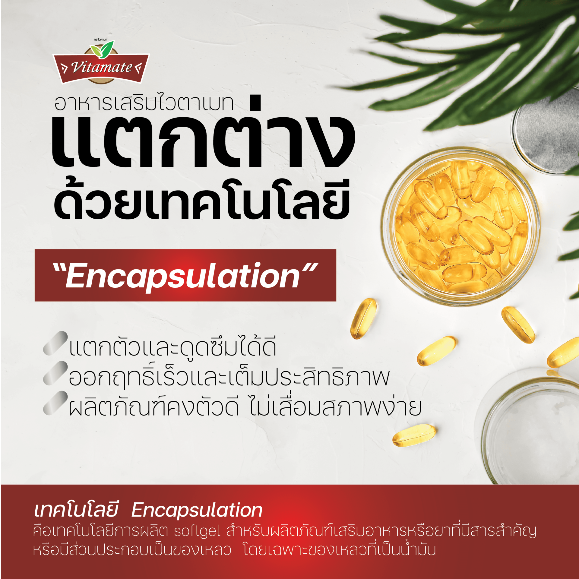 เทคโนโลยี encapsulation เทคโนโลยี encapsulation
