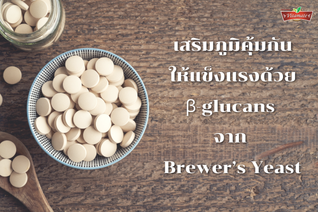 รู้จักบริวเวอร์ยีสต์ (Brewer’s Yeast)