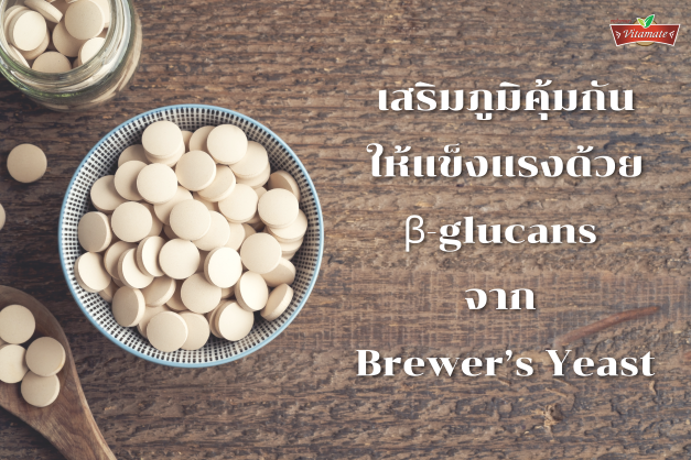 รู้จักบริวเวอร์ยีสต์ (Brewer’s Yeast) รู้จักบริวเวอร์ยีสต์ (Brewer’s Yeast)