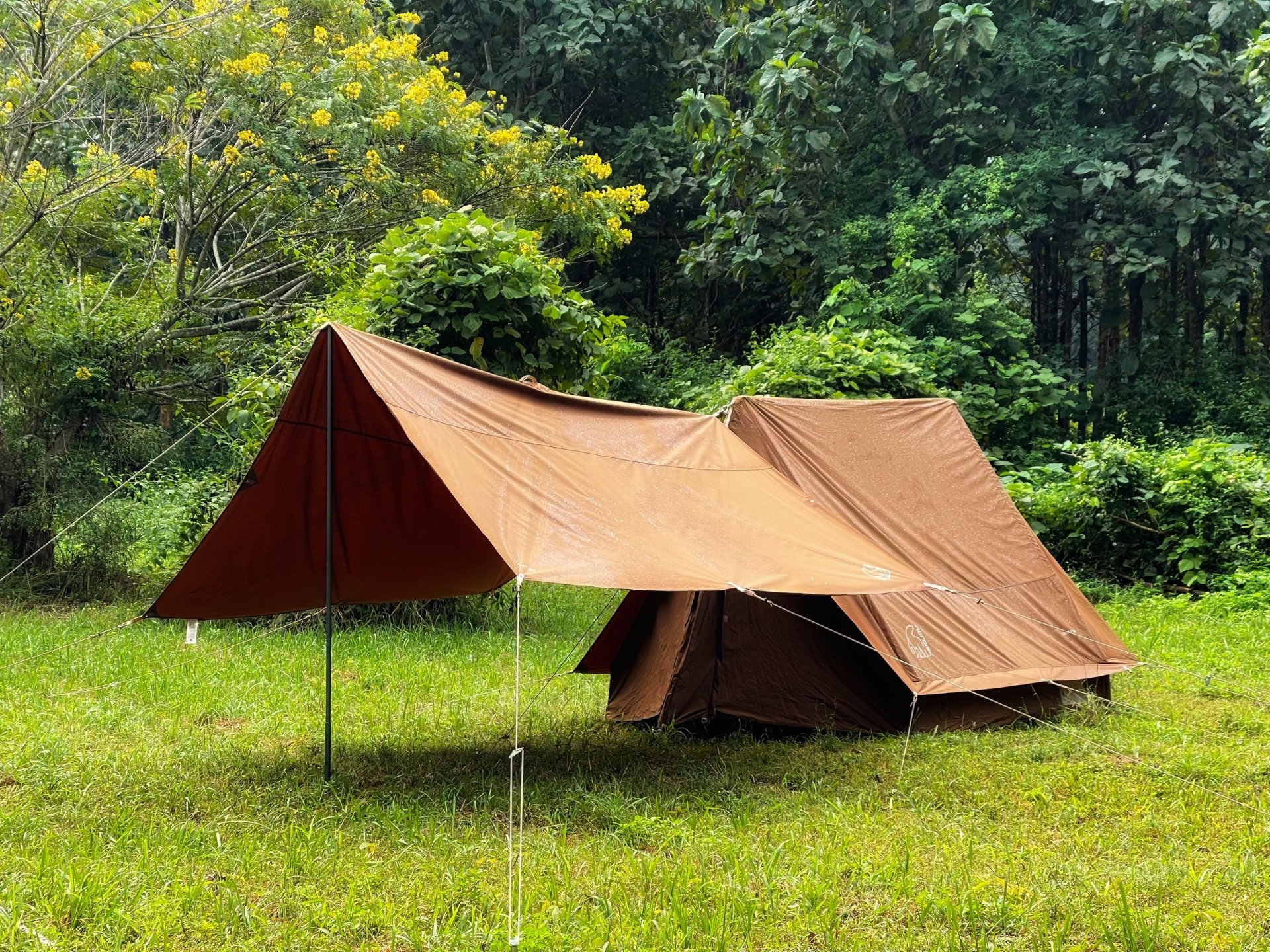 Nordisk Vimur 5.6 Tent Chocolate Brown - basecampoutdoorshop