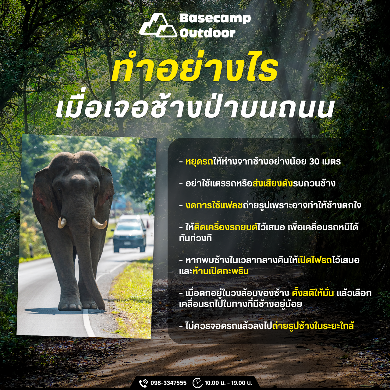 ทำอย่างไรเมื่อเจอช้างป่าบนถนน ทำอย่างไรเมื่อเจอช้างป่าบนถนน