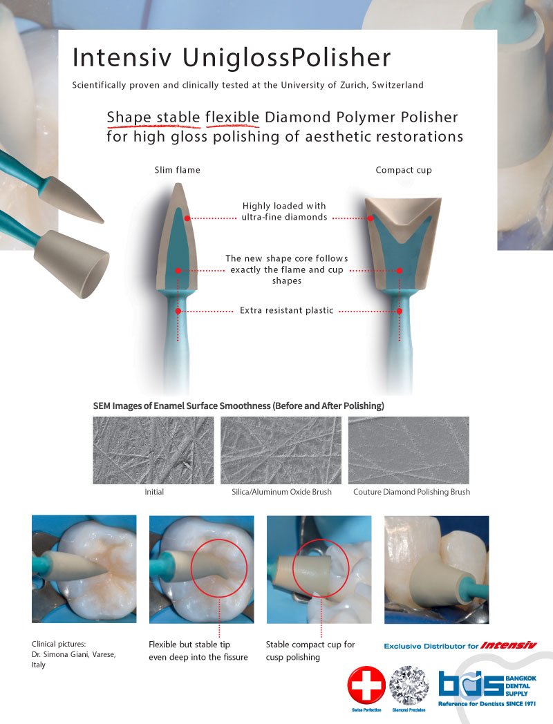BDS Intensive UniglossPolisher (หัวขัดมัน หรือ Enhance)