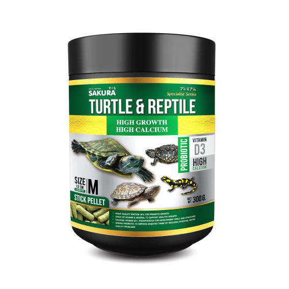 Accelerating Turtle SAKURA SPECIAL TURTLE 100 G
