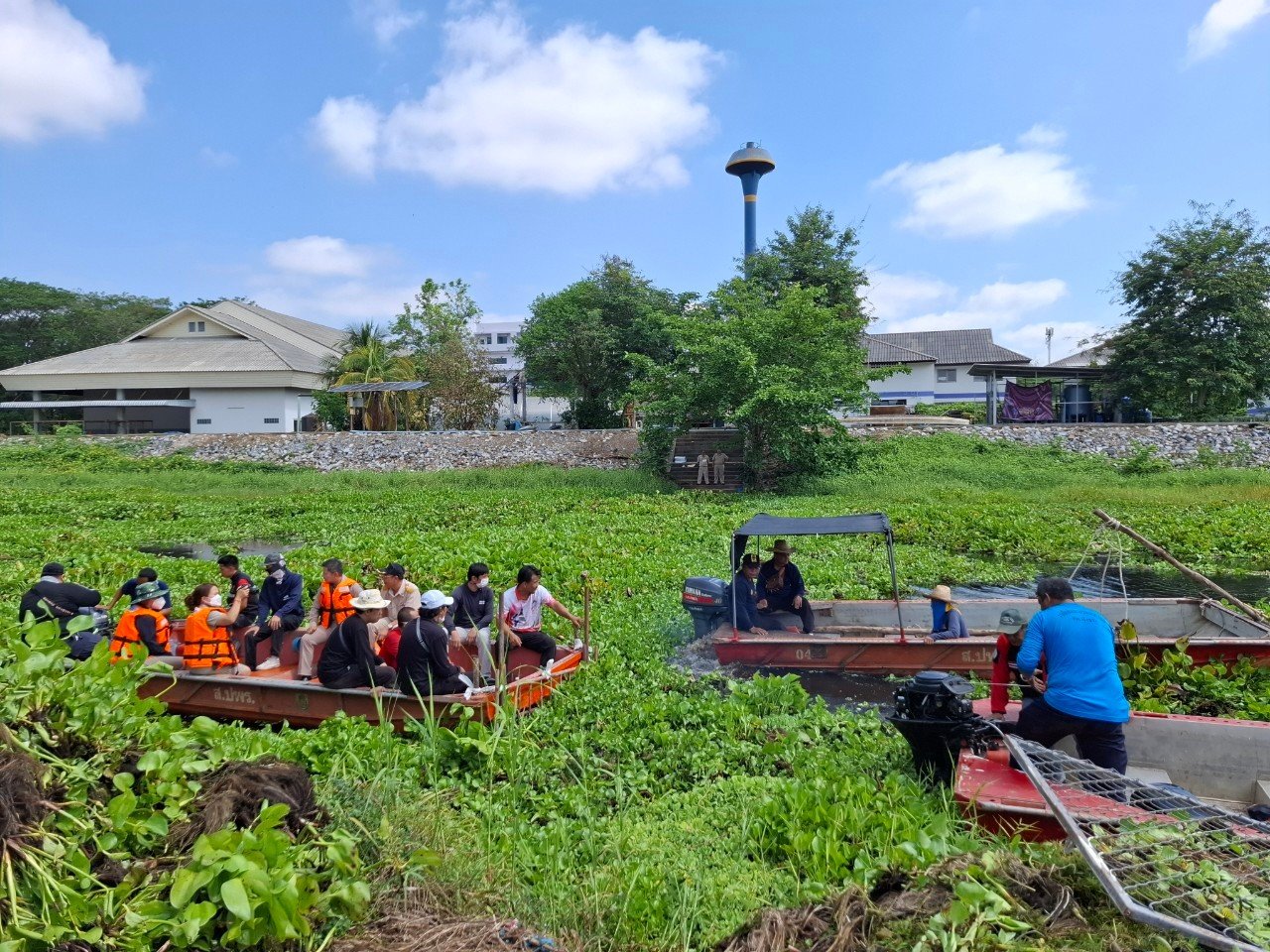 กิจกรรมจิตอาสาเดินหน้ากำจัดผักตบชวาและวัชพืชทางน้ำ ในลำน้ำแม่กวง (บริเวณ ด้านหลังโรงเรียนเฉลิมพระเกียรติ 48 พรรษา ในพระราชูปถัมภ์ฯ)