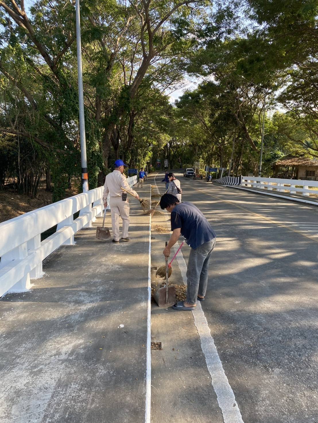 ลงพื้นที่ตัดต้นไม้และกิ่งไม้รวมถึงทำความสะอาดและจัดเก็บขยะ