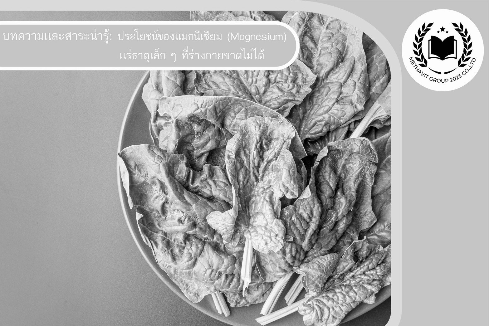 ประโยชน์ของเเมกนีเซียม (Magnesium) เเร่ธาตุเล็ก ๆ ที่ร่างกายขาดไม่ได้