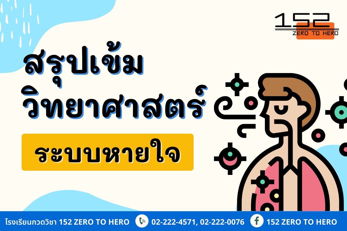 ระบบหายใจมีอะไรบ้าง?