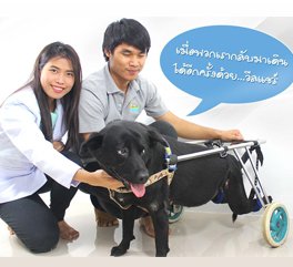 โครงการ Wheelchair Center