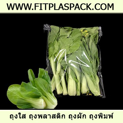 ถุงผัก ถุงแพสซีฟ บรรจุผัก ถุงผลไม้ ( Passive Bag ) ถุงผัก ถุงแพสซีฟ บรรจุผัก ถุงผลไม้ ( Passive Bag )