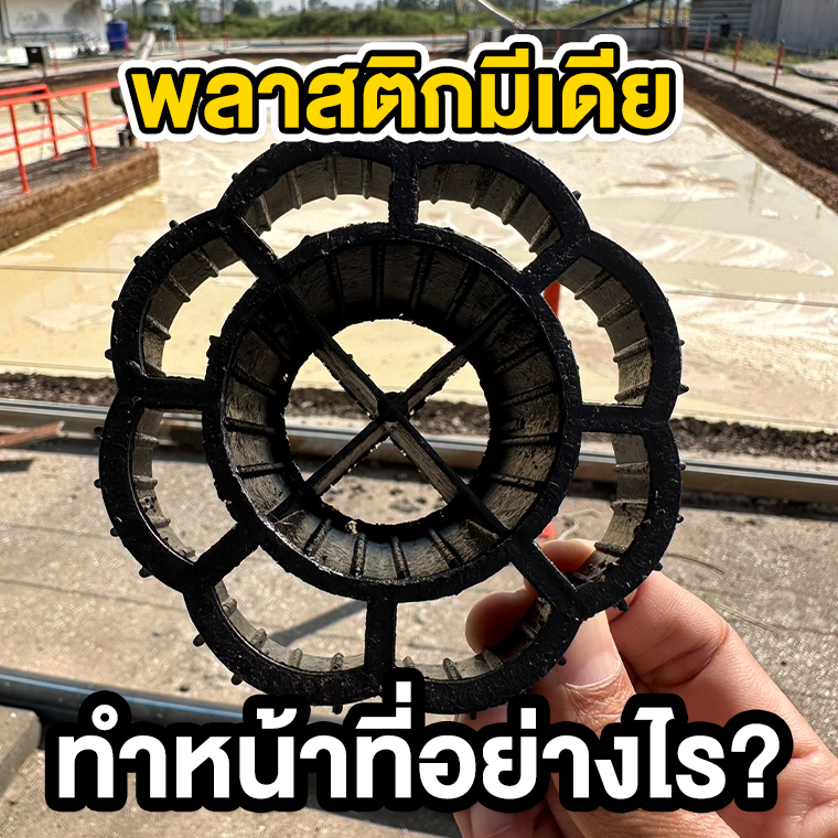 พลาสติกมีเดีย