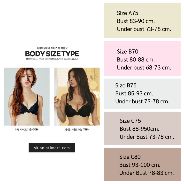 Lace Closet Push up Bra (Made in Korea) - skinnintimate