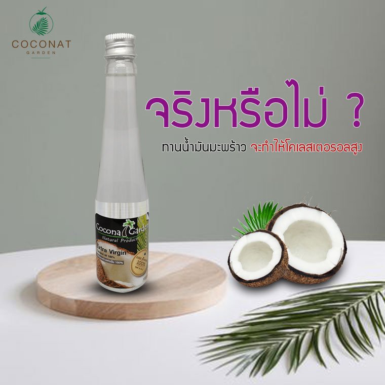 จริงหรือไม่ ทานน้ำมันมะพร้าว จะทำให้โคเลสเตอรอลสูง  จริงหรือไม่ ทานน้ำมันมะพร้าว จะทำให้โคเลสเตอรอลสูง