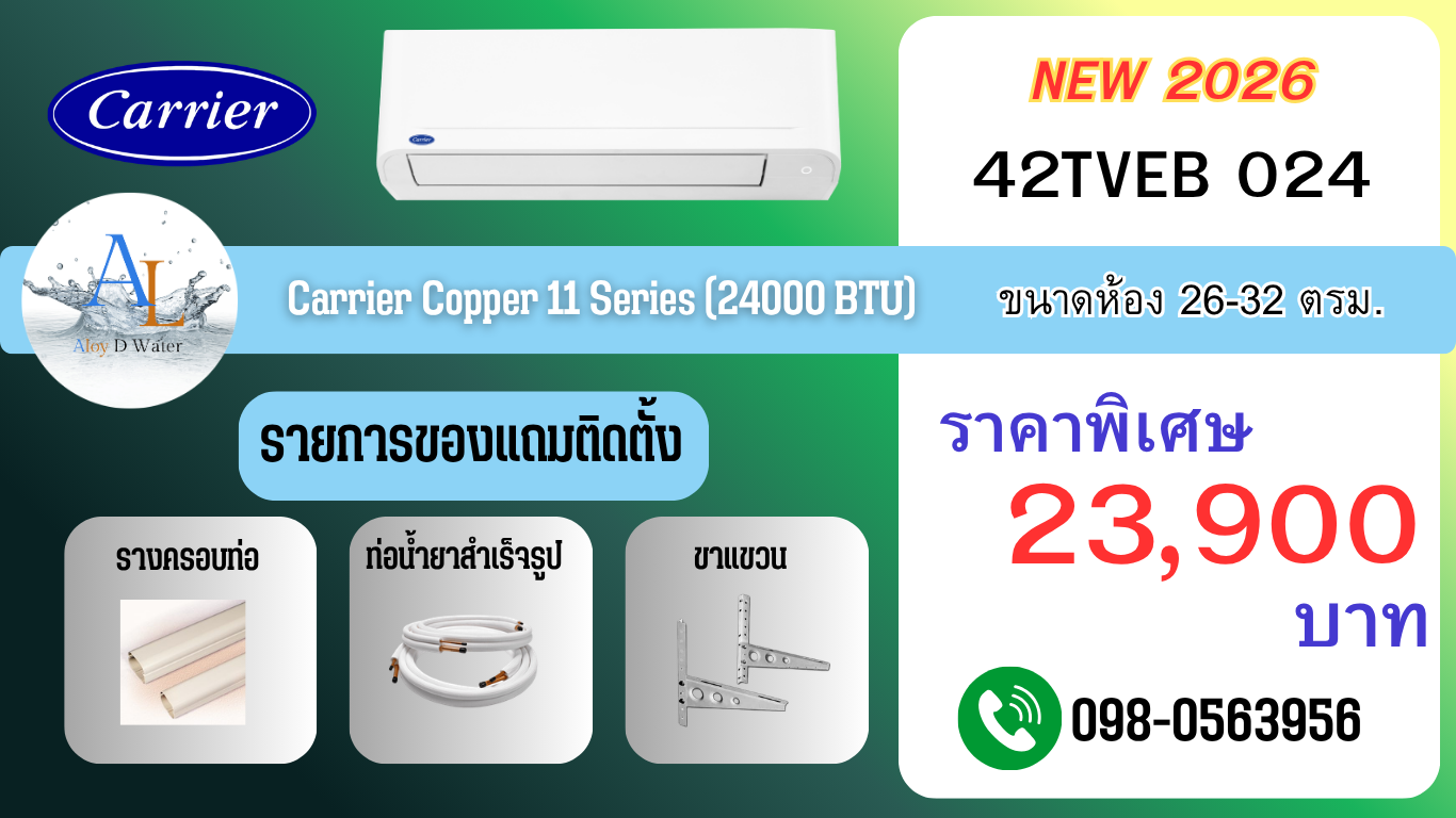 Carrier Copper 11 Series 24000 BTU