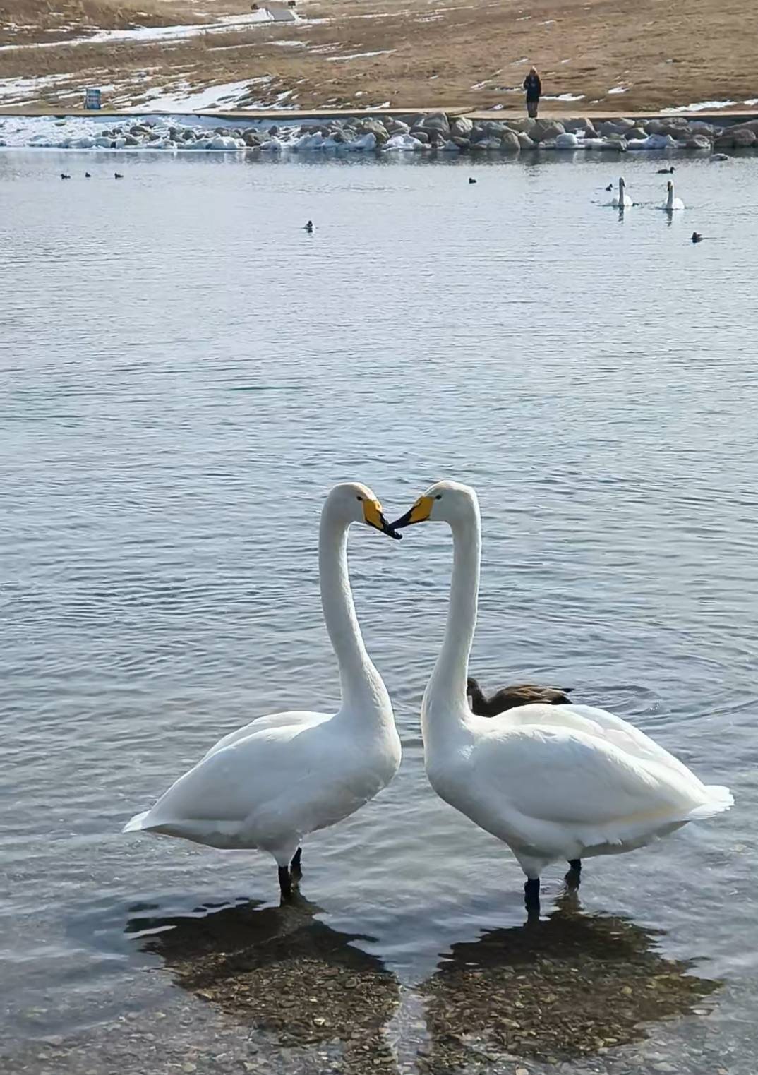 ทะเลสาบไซ่หลี่มู่ (Sailimu Lake) ซินเจียง ประเทศจีน