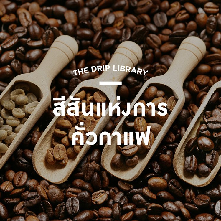 Coffee 101: สีสันแห่งการคั่วกาแฟ Coffee 101: สีสันแห่งการคั่วกาแฟ