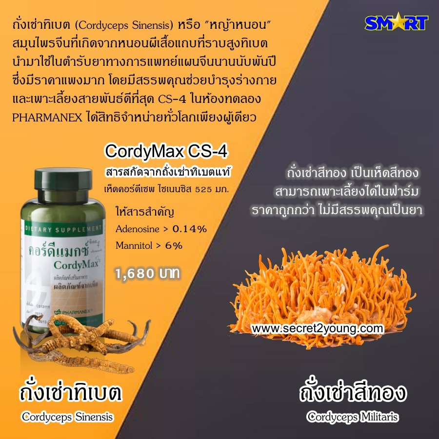 อาหารเสริม เห็ดถั่งเช่า คอร์ดีแม็ก ซีเอส-4 nu skin cordymax cs-4 001