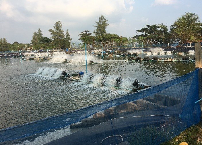 Job Report  ฟาร์ม เฮียปู จังหวัดชุมพร Job Report  ฟาร์ม เฮียปู จังหวัดชุมพร