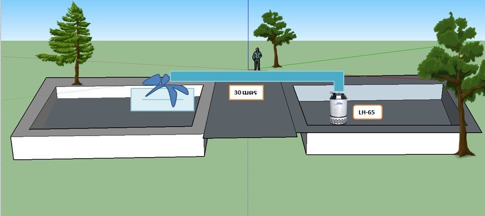 ฟาร์มกุ้ง-จังหวัดสุราษฎร์ธานี ฟาร์มกุ้ง-จังหวัดสุราษฎร์ธานี