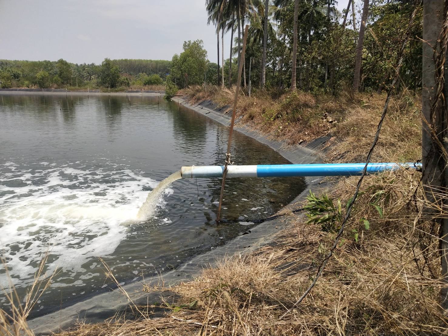 Job Report :Shrimp Farm - Chumphon Province