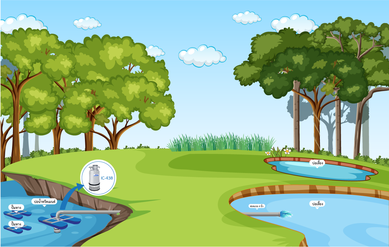 ฟาร์มกุ้ง - จังหวัดฉะเชิงเทรา ฟาร์มกุ้ง - จังหวัดฉะเชิงเทรา