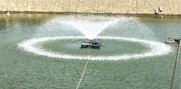 HCP Job Report 13：Apply Water Sprinkler Kits in Aquaculture Industry, Tainan City, Taiwan.