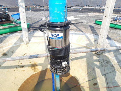 Job Report :สาลิกา ฟาร์ม จังหวัดฉะเชิงเทรา Job Report :สาลิกา ฟาร์ม จังหวัดฉะเชิงเทรา