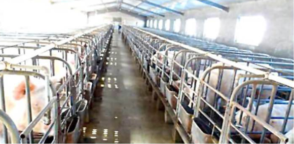 HCP Job Report 07 ：Sewage Treatment of Pig Husbandry in Shandong Province, China