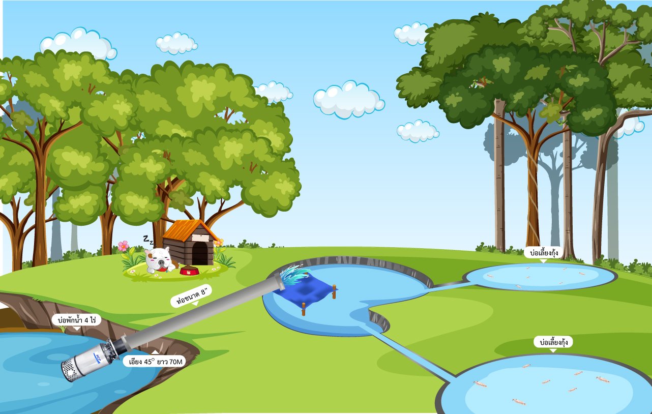 ฟาร์มกุ้ง - จังหวัดระนอง ฟาร์มกุ้ง - จังหวัดระนอง