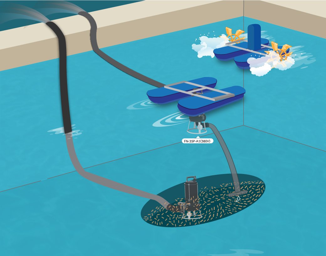 ฟาร์มกุ้ง - จังหวัดระนอง ฟาร์มกุ้ง - จังหวัดระนอง