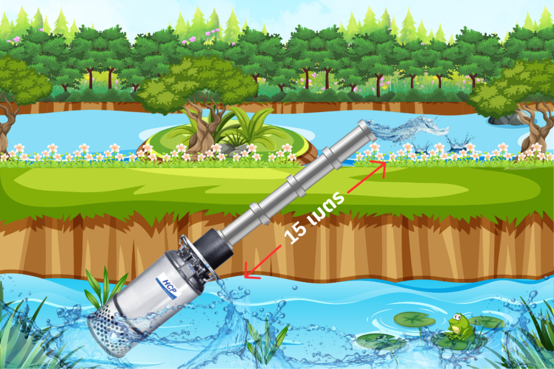 โครงงาน ฟารม์กุ้ง จังหวัดสตูล 