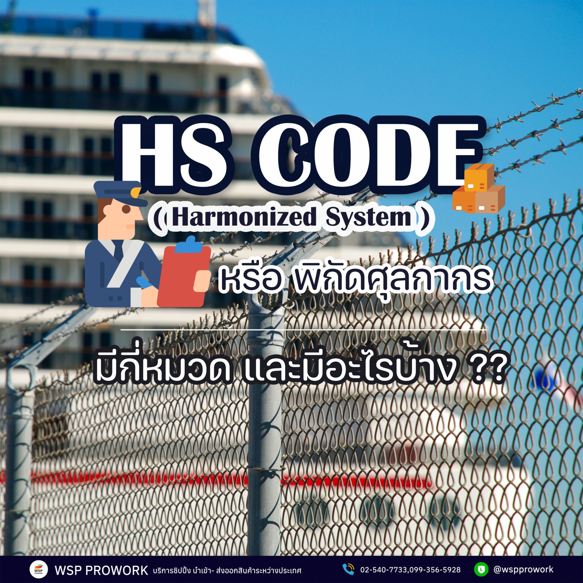 What is HS CODE or customs coordinates? How many categories are there? What are they?