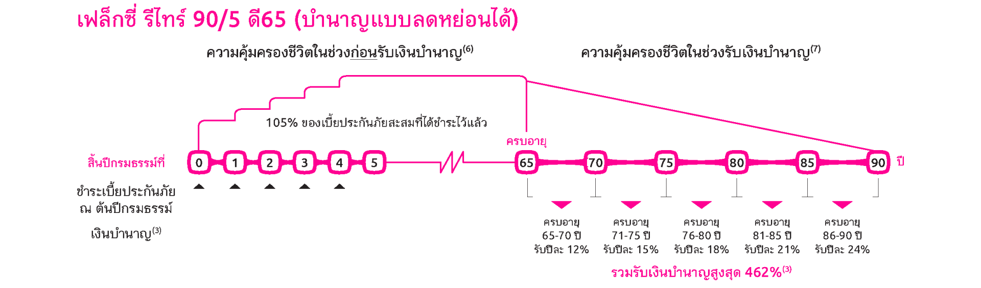 Flexi Retire 90/5 D65