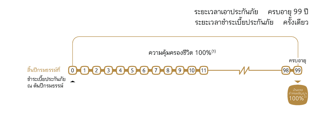 อินโฟผลประโยชน์ Whole Life 99/1 (อัปเดต)