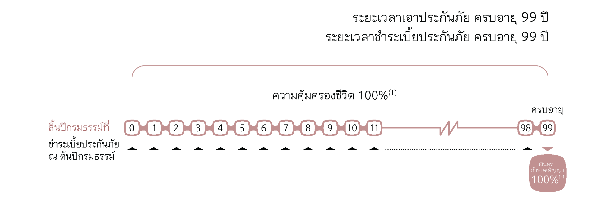อินโฟผลประโยชน์ 99/99 (Premier)