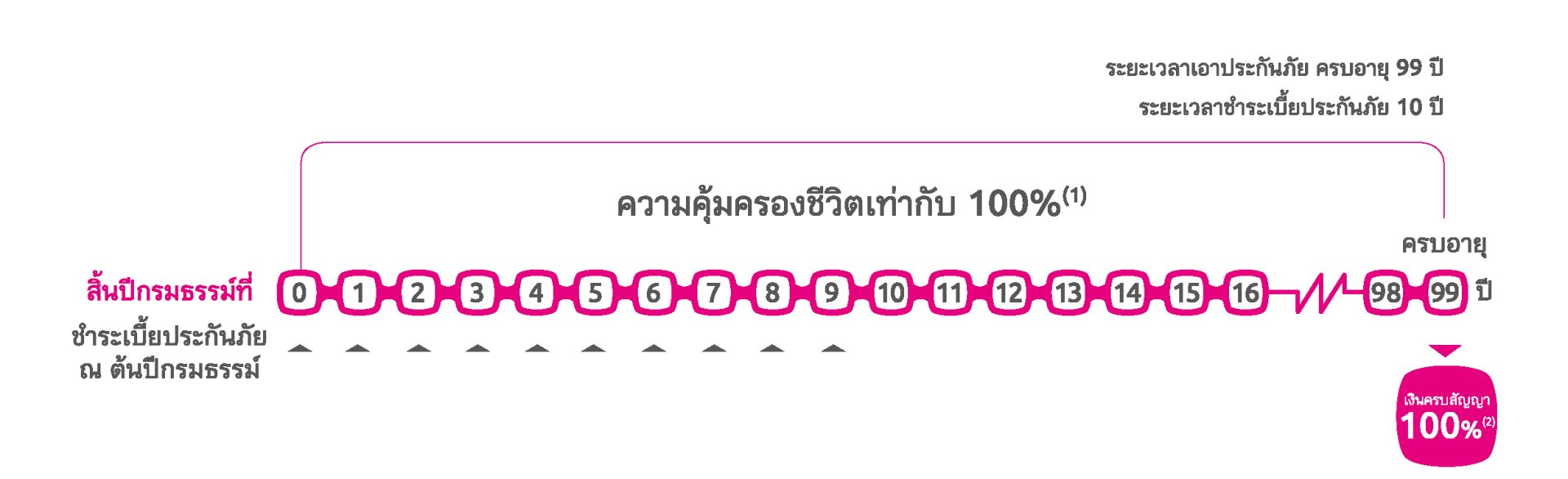 อินโฟ ผลประโยชน์ความคุ้มครอง Premier Legacy 99/10