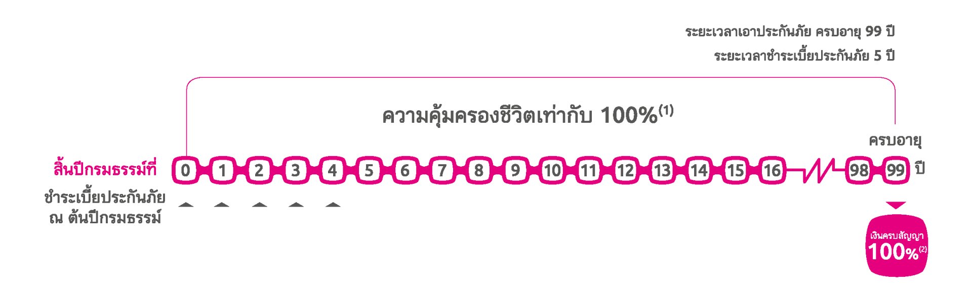 อินโฟ ผลประโยชน์ความคุ้มครอง Premier Legacy 99/5