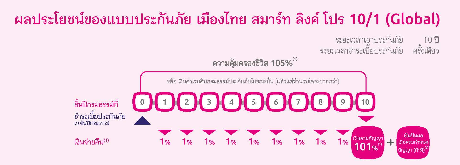 กราฟผลประโยชน์ความคุ้มครอง Smart Link Pro 101