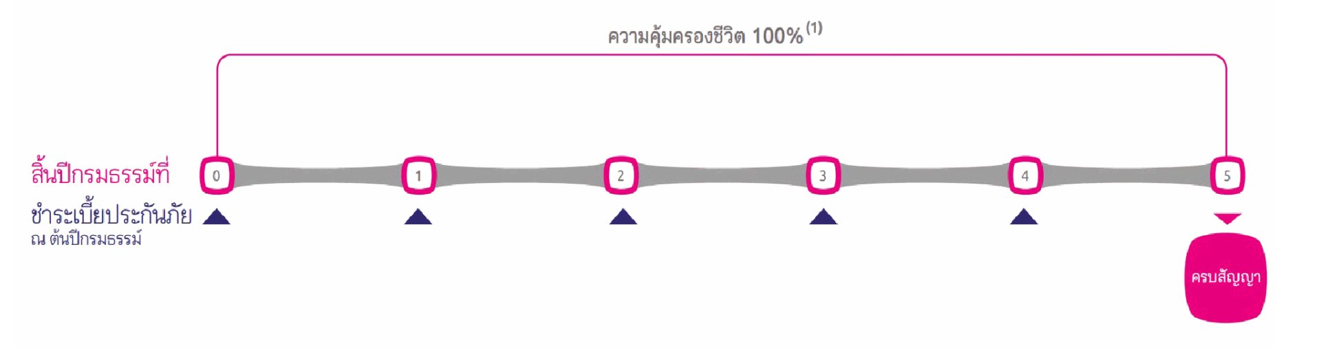 ผลประโยชน์และความคุ้มครอง