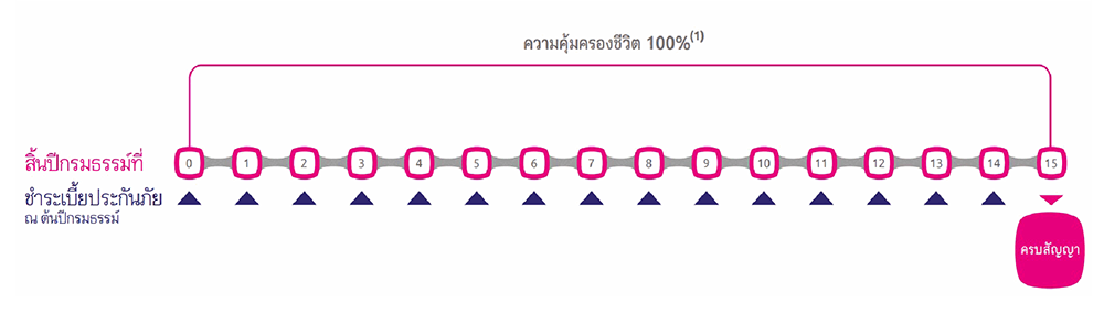 ผลประโยชน์และความคุ้มครอง 15/15