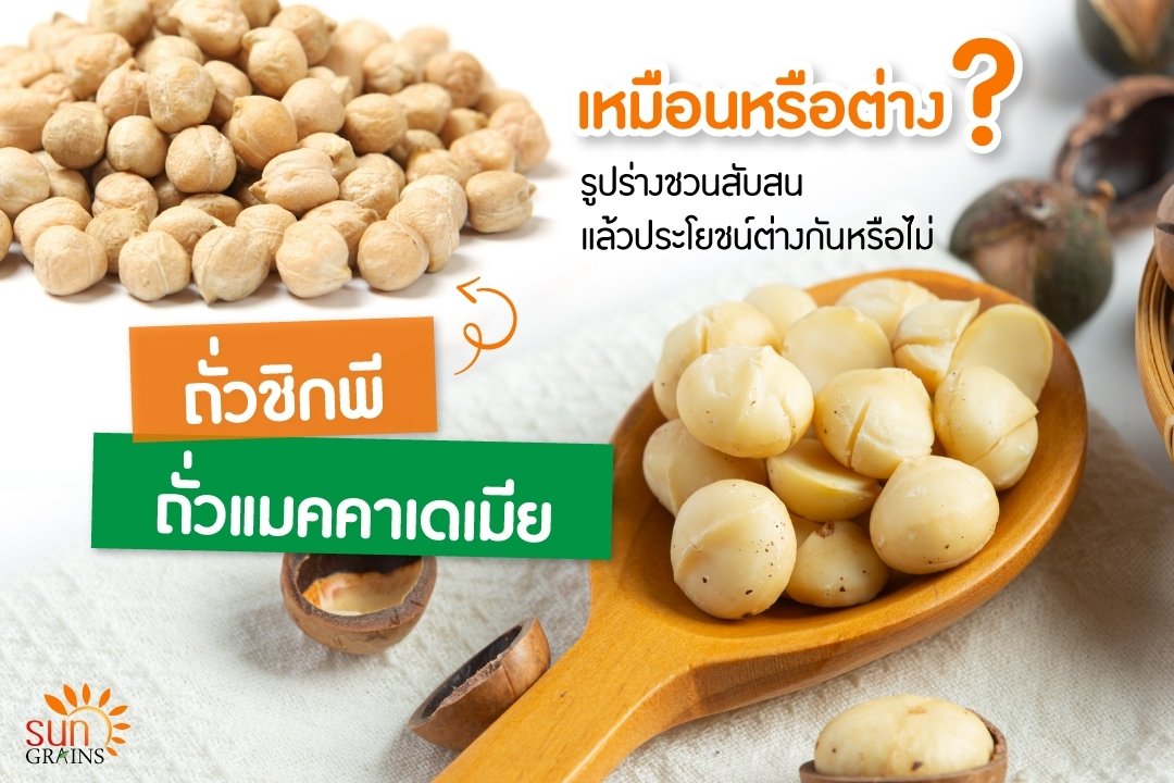 “ถั่วชิกพี” กับ “ถั่วแมคคาเดเมีย” “ถั่วชิกพี” กับ “ถั่วแมคคาเดเมีย”