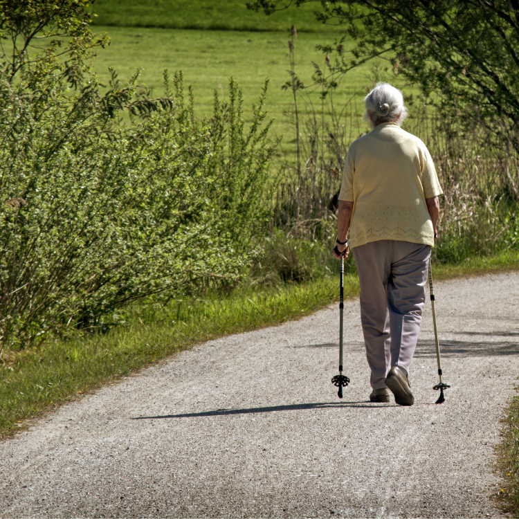 Aging as a stage of the Heroic Pilgrimage of Faith ตอน 1 