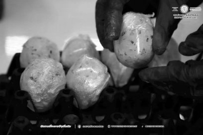 อบรมแปรรูปไข่เป็ด สร้างอาชีพ-สร้างรายได้ เพื่อผู้ด้อยโอกาส!