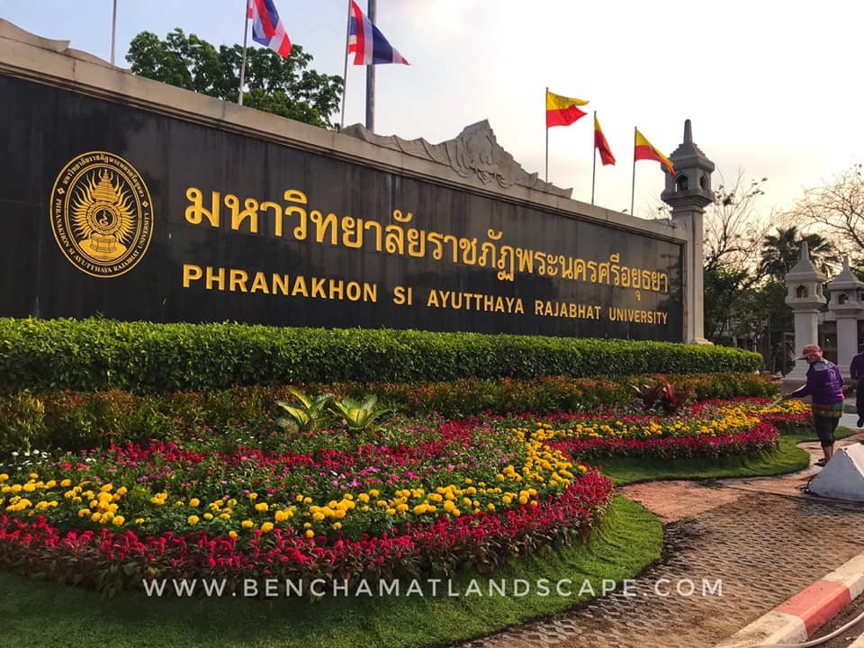 มหาวิยาลัยราชภัฏพระนครศรีอยุธยา2562